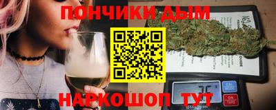 шишки Можга