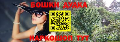 шишки Можга