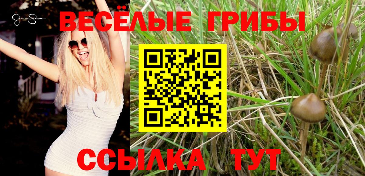 Галлюциногенные грибы Magic Shrooms  Вход с VPN  Орск  Псилоцибиновые грибы Psilocybine cubensis 