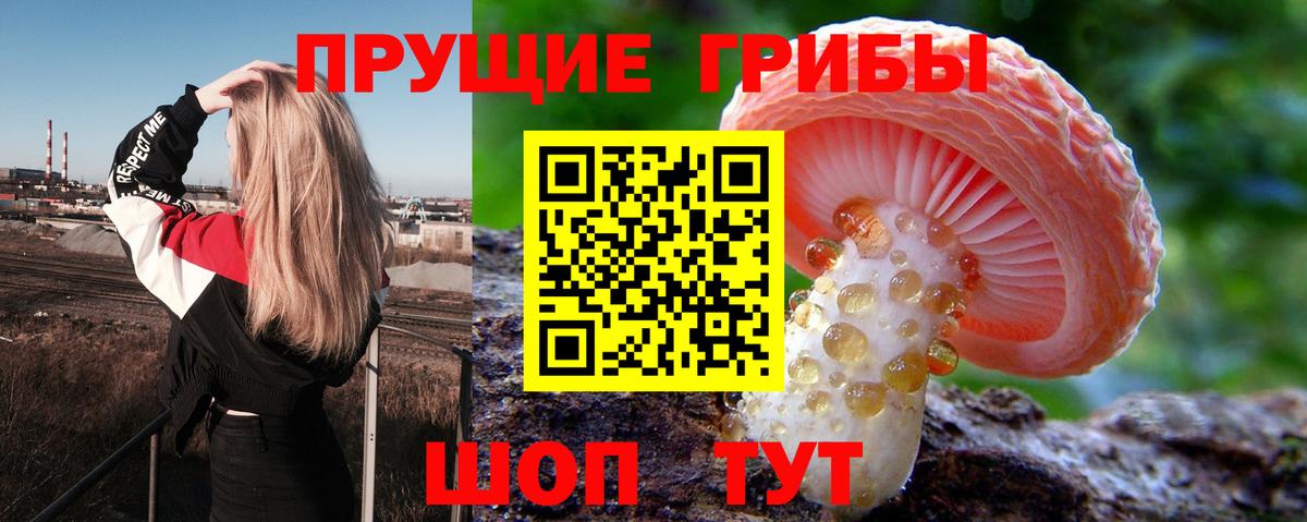 Галлюциногенные грибы мицелий Орск